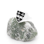 Shield Family Crest Ring